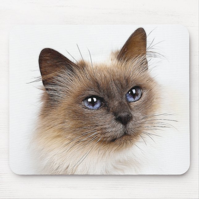 CATS MOUSE PAD (Front)