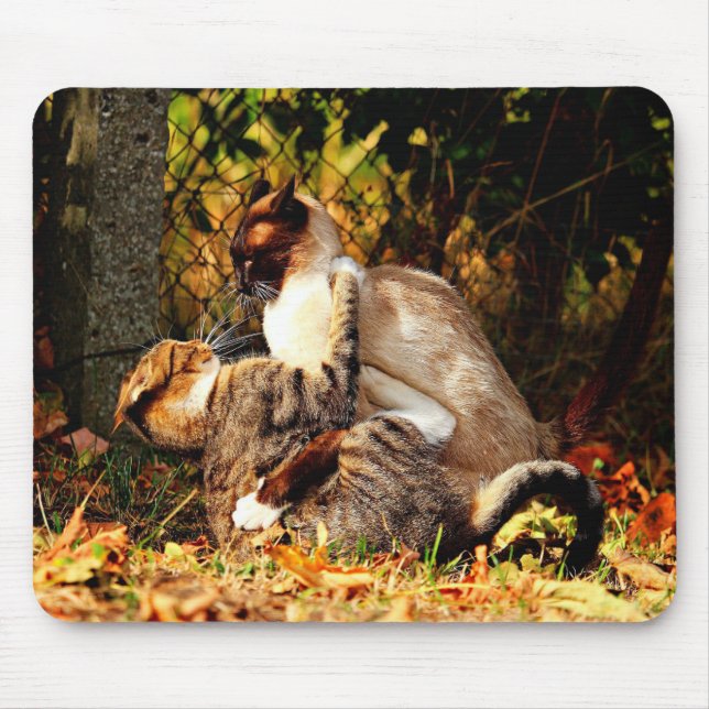 Cats Mousepad (Front)