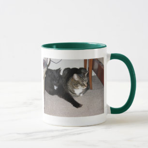 cats mug