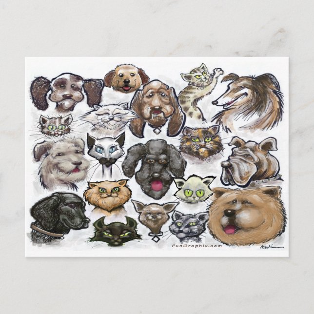 Cats n Dogs Postcard (Front)