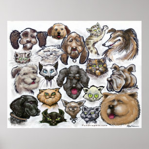 Cats n Dogs Poster