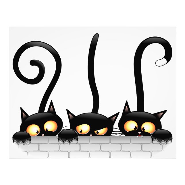 Cats Naughty, Playful and Funny Characters Photo Print (Front)