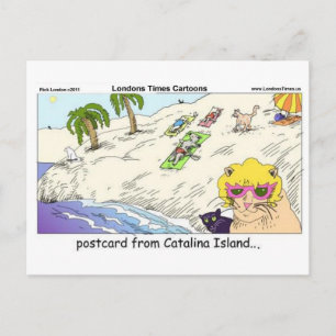 Cats Of Catalina Island Funny Gifts Cards & Tees