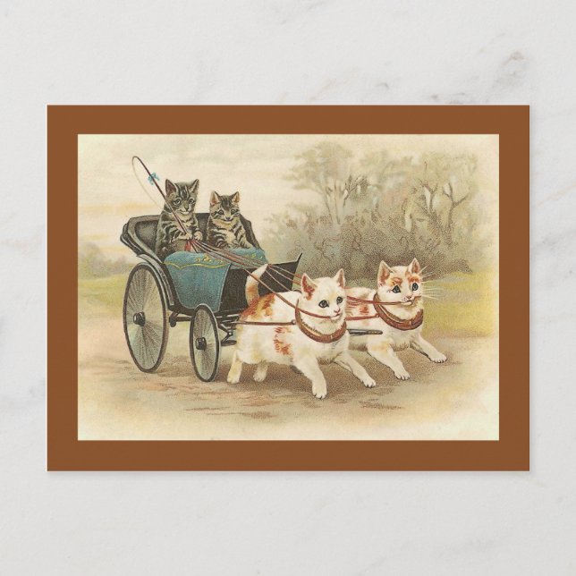 "Cats on a Coach Ride" Vintage Postcard (Front)
