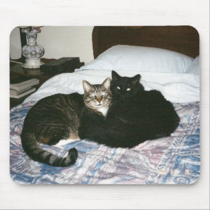 cats on bed mousepad
