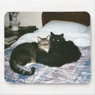 cats on bed mousepad