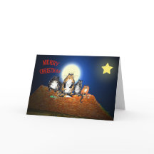 Cats on roof,  Merry Christmas, humor