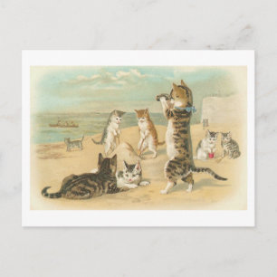 "Cats on the Beach " Vintage Postcard