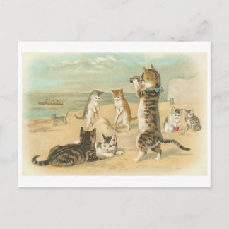 "Cats on the Beach " Vintage Postcard
