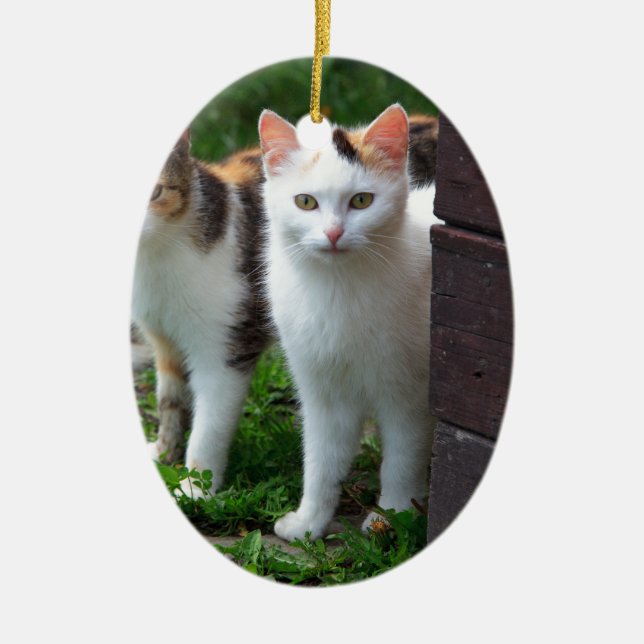 Cats out playing ceramic tree decoration (Front)