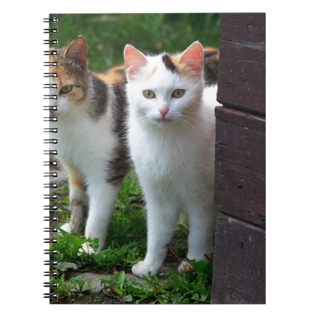 Cats out playing spiral notebook (Front)