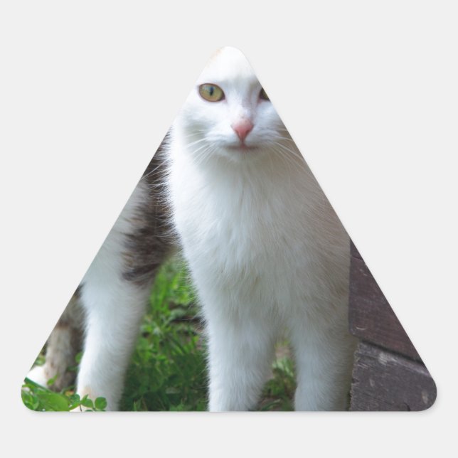 Cats out playing triangle sticker (Front)