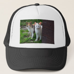 Cats out playing trucker hat