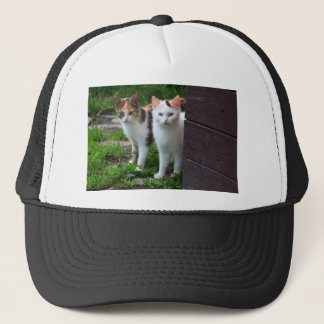 Cats out playing trucker hat