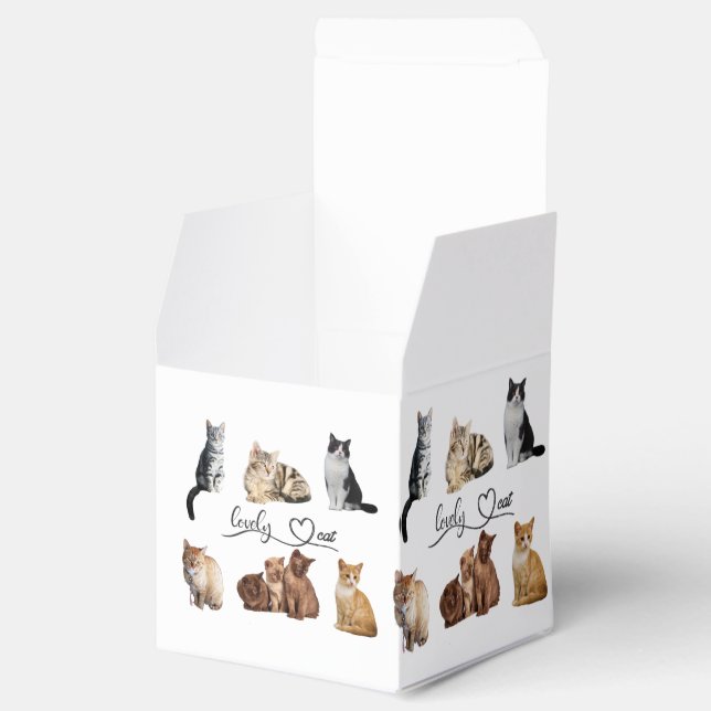 cats package, Funny cats package Favour Box (Opened)