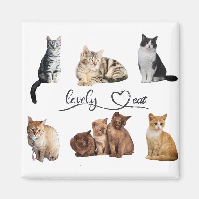 cats package, Funny cats package Magnet (Front)