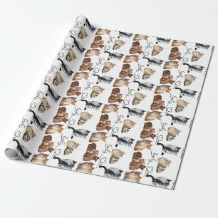 cats package, Funny cats package Wrapping Paper