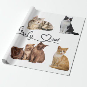 cats package, Funny cats package Wrapping Paper