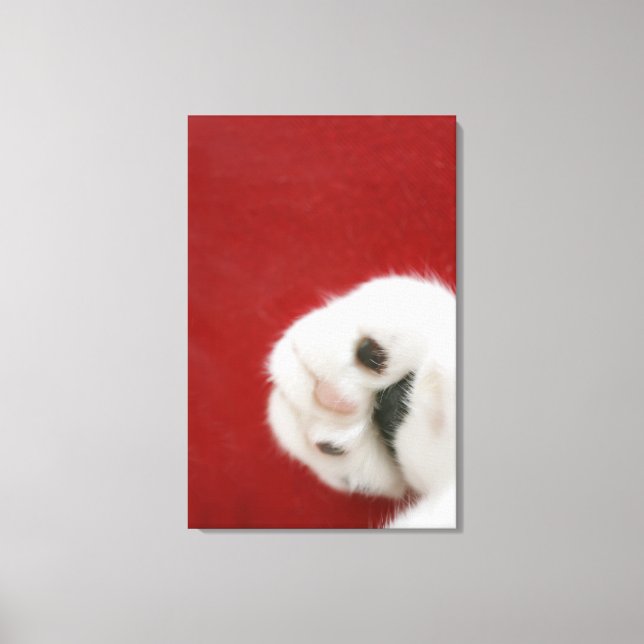 Cat's paw canvas print (Front)