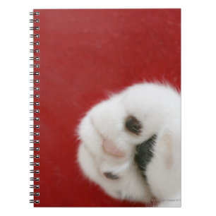 Cat's paw spiral notebook