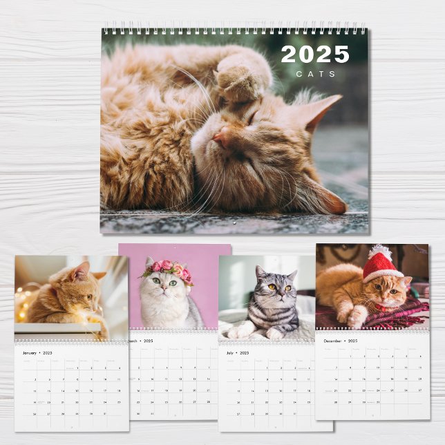 Cats Photo Collage Modern 2025 Calendar (Creator Uploaded)