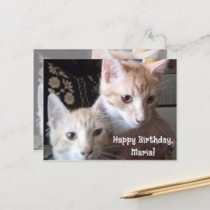 Cats photo front and back birthday card