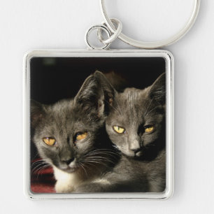 Cats Photo Key Ring