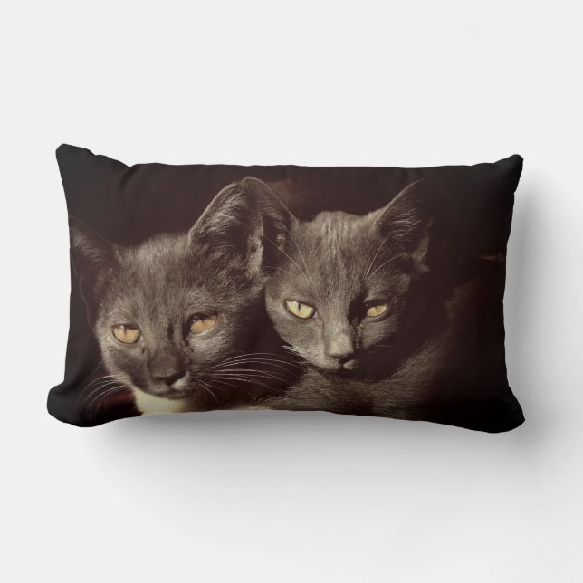 Cats Photo Lumbar Pillow 33 cm x 53 cm (Front)