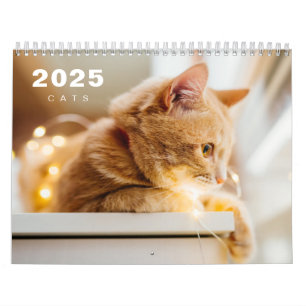 Cats Photo Modern 2025 Calendar
