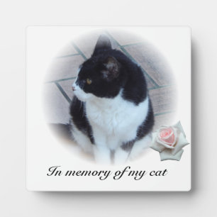 Cats Plaque