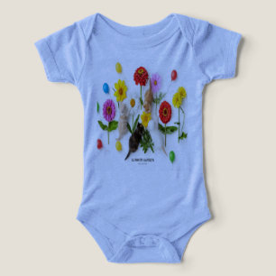 cats play with roses