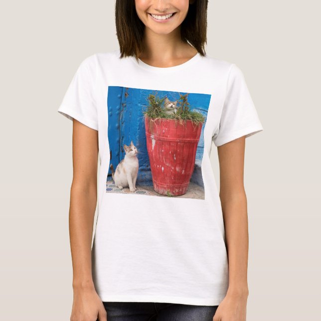 Cats playing around, Rabat, Morocco T-Shirt (Front)