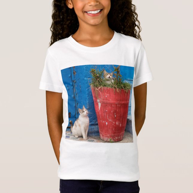 Cats playing around, Rabat, Morocco T-Shirt (Front)