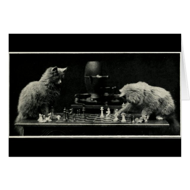 Cats Playing Chess (Front Horizontal)