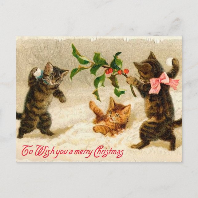 Cats playing in the snow Vintage Christmas Holiday Postcard (Front)