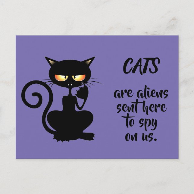 cats postcard (Front)