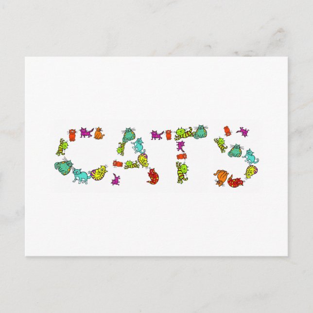 Cats Postcard (Front)