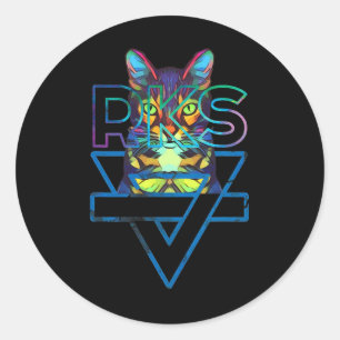 Cats Rainbow Kitten Surprise Cute Cat  Classic Round Sticker