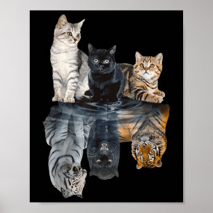 Cats Reflection Mirror Lion Cheetah Tiger Funny Ca Poster