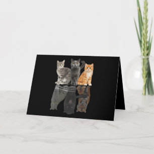 Cats Reflection Mirror Puma Cheetah Tiger Funny Card