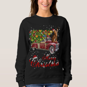 Cats Rides Red Truck Christmas Pajama Sweatshirt