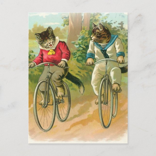 Cats Riding Bikes Postcard (Front)