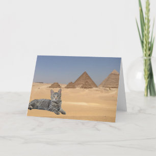 Cats Rule! Card