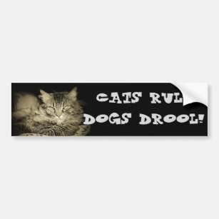 Cats rule Dogs Drool Bumper Cat Bumper Sticker