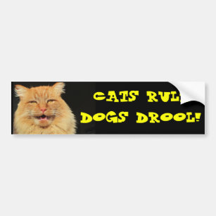 Cats rule Dogs Drool Bumper Sticker