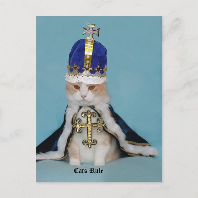 Cats Rule Postcard (Front)