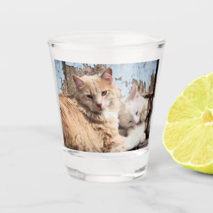 Cats Shot Glass