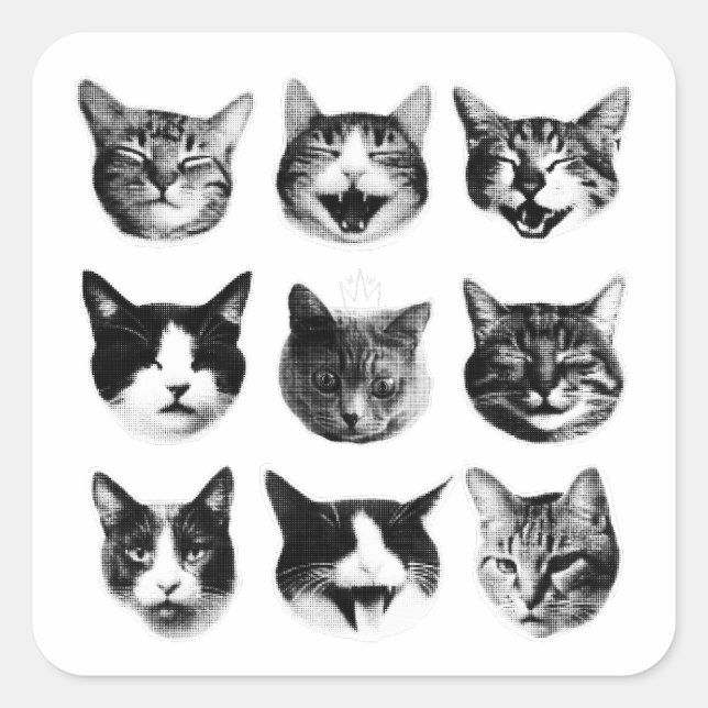 Cats Square Sticker (Front)