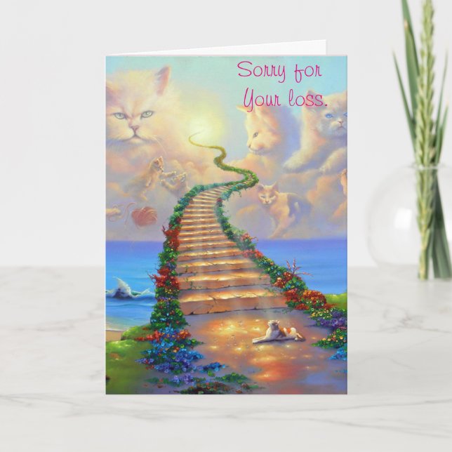 Cats Sympathy Card (Front)