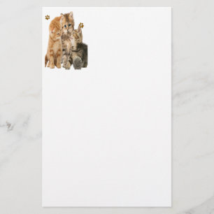 Cats t-shirts stationery